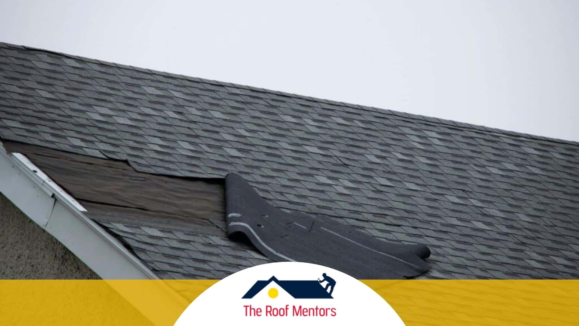 Is Your Roof Failing 7 Warning Signs You Shouldn’t Ignore