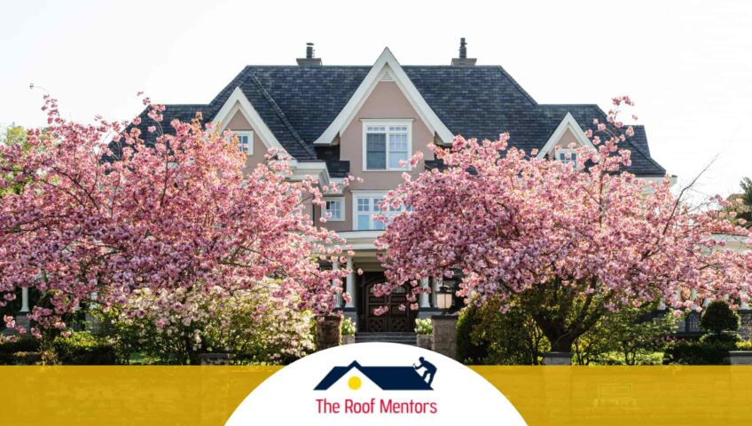 Top Spring Roof Maintenance Tips