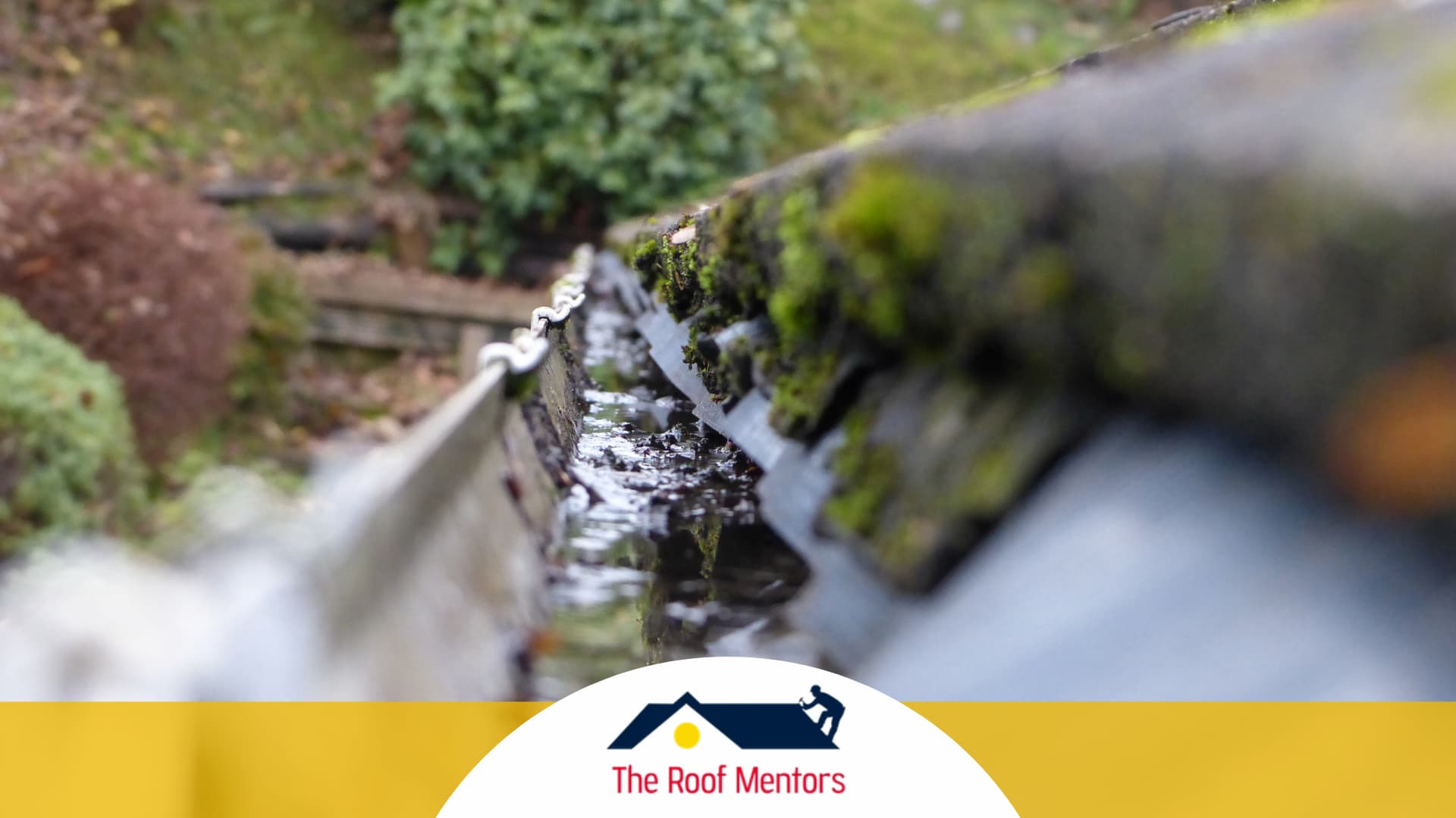 The Gutter Masters is a gutter cleaning and roof installation company in San Diego, California.