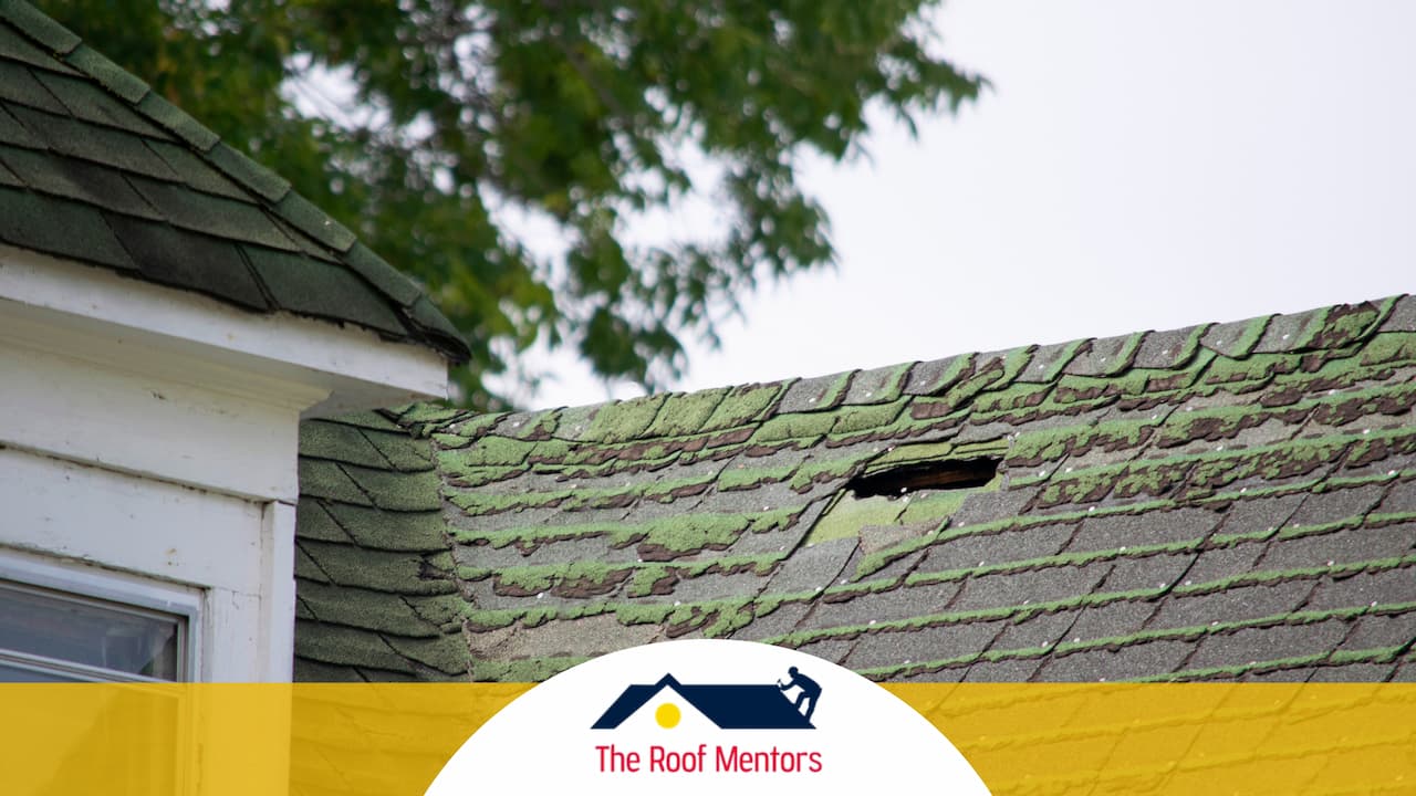 A house with a green roof and a hole in it requires roof replacement.